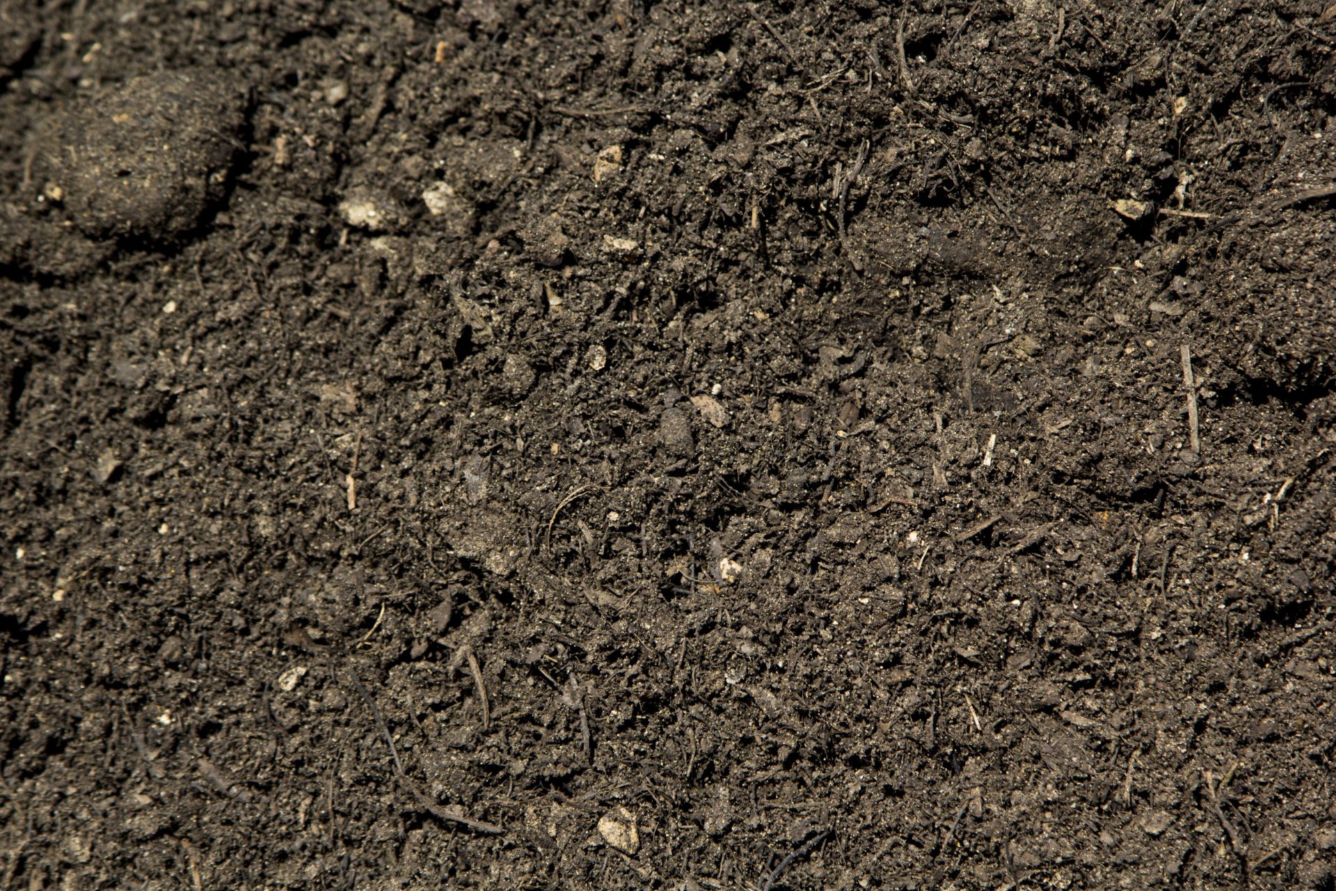 Lawn and Garden Soil 16