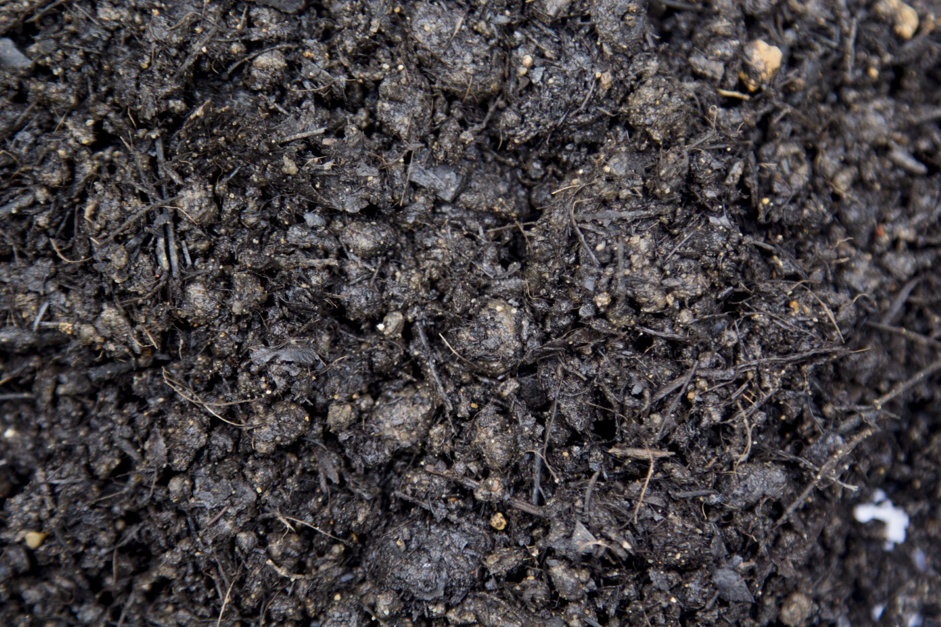Lawn and Garden Soil 18