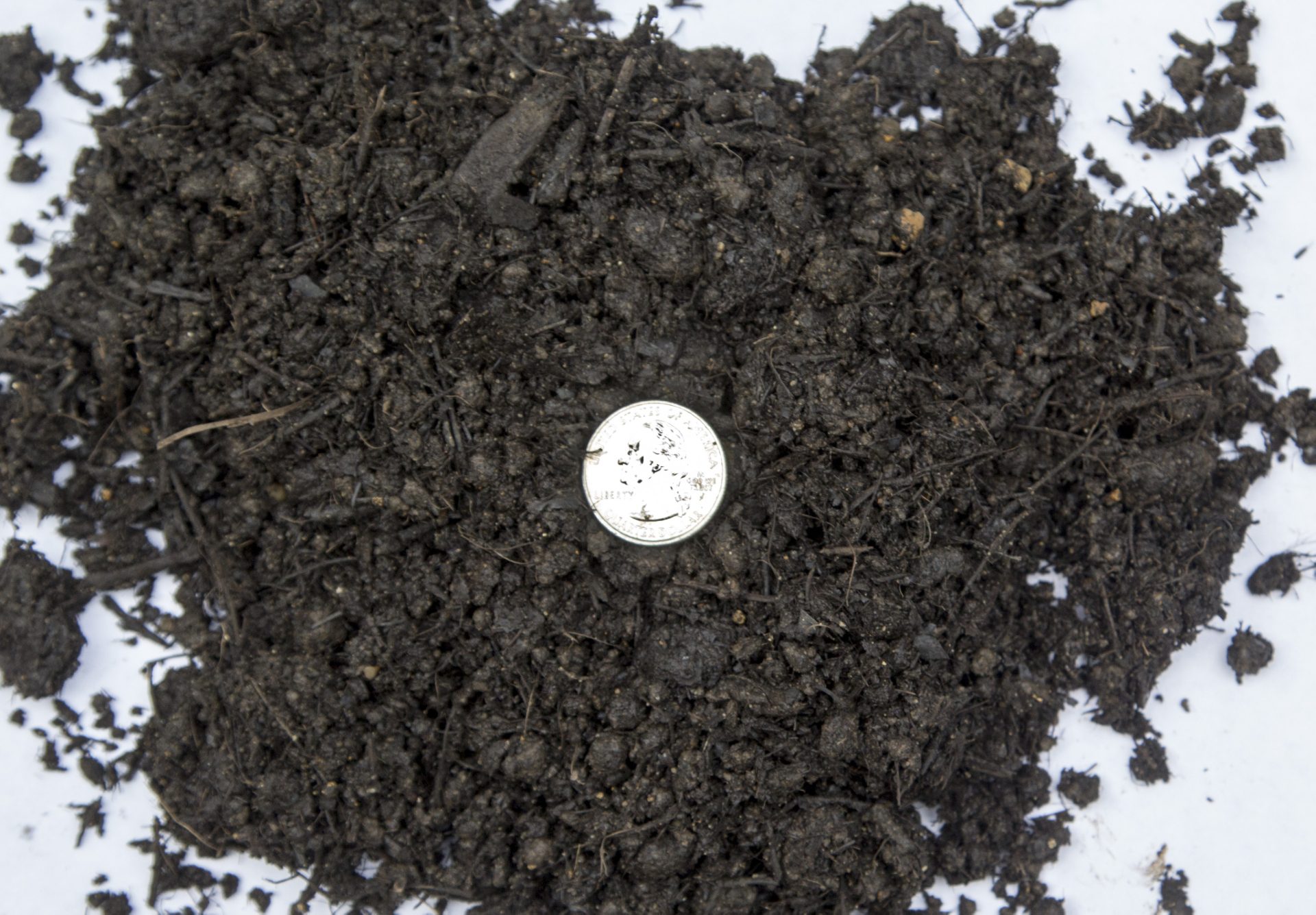 Lawn and Garden Soil 21