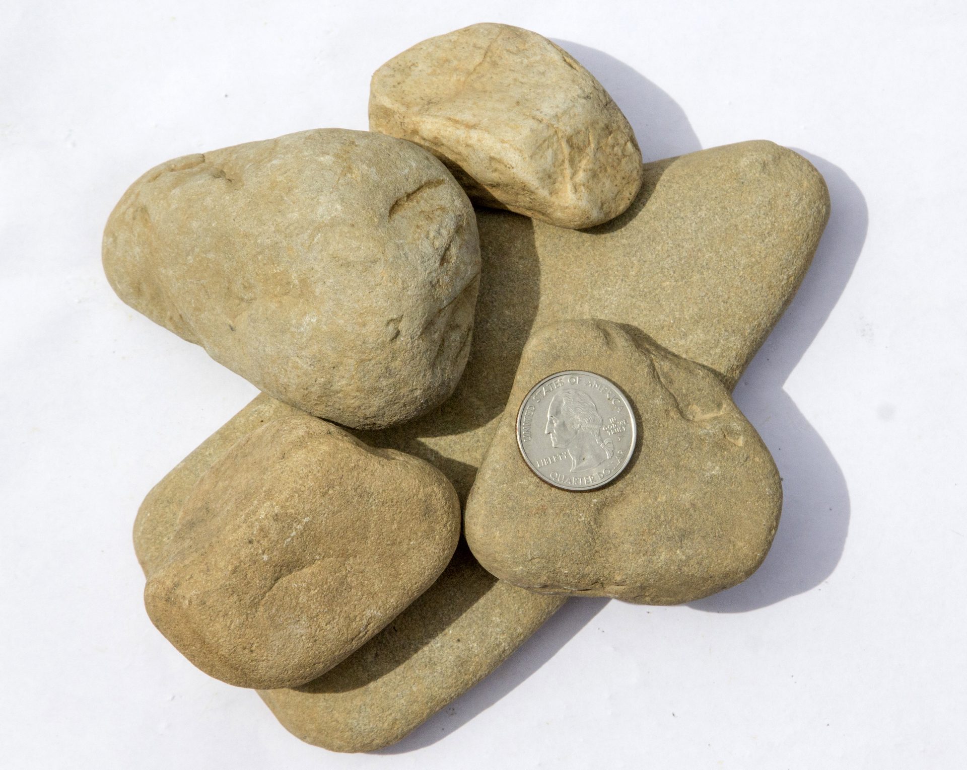 Smokey Mountain 2 to 4 in 11