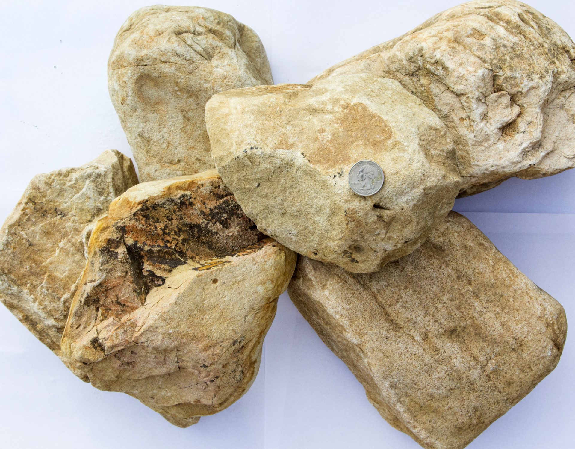 Smokey Mountain 4 to 8 in 7