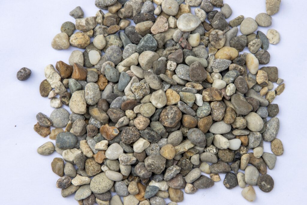 South Fork 1 2 in 12