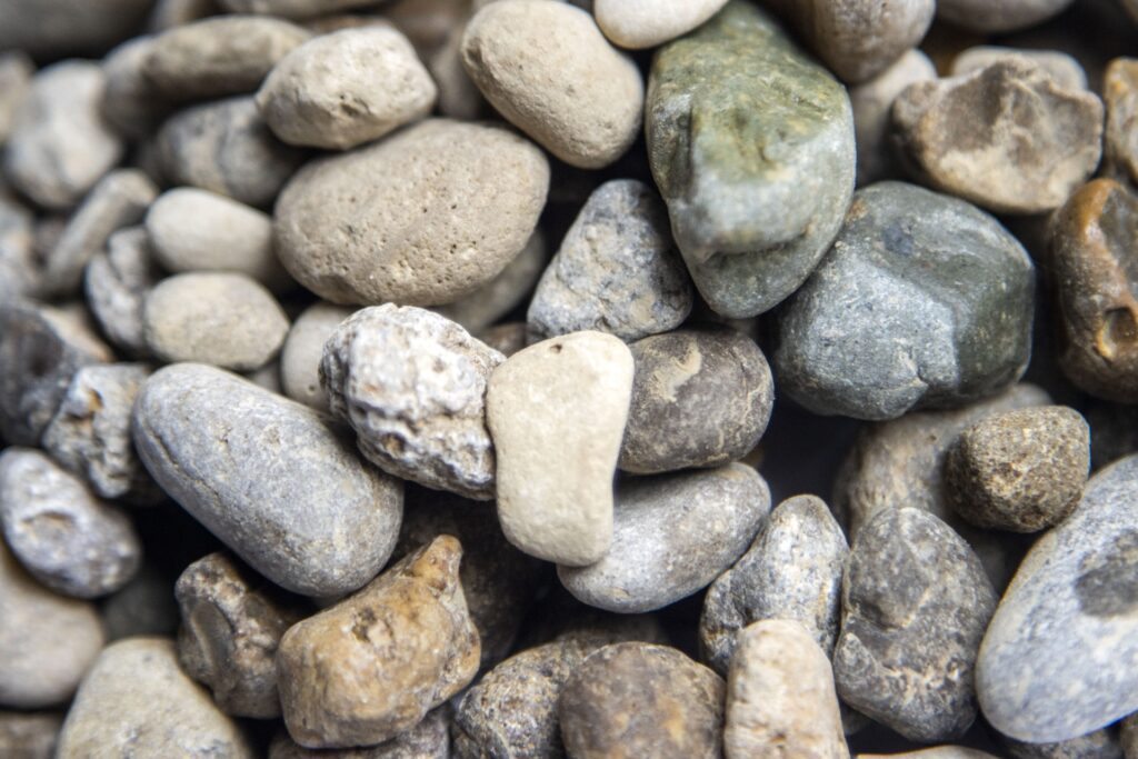 South Fork 1 2 in 21