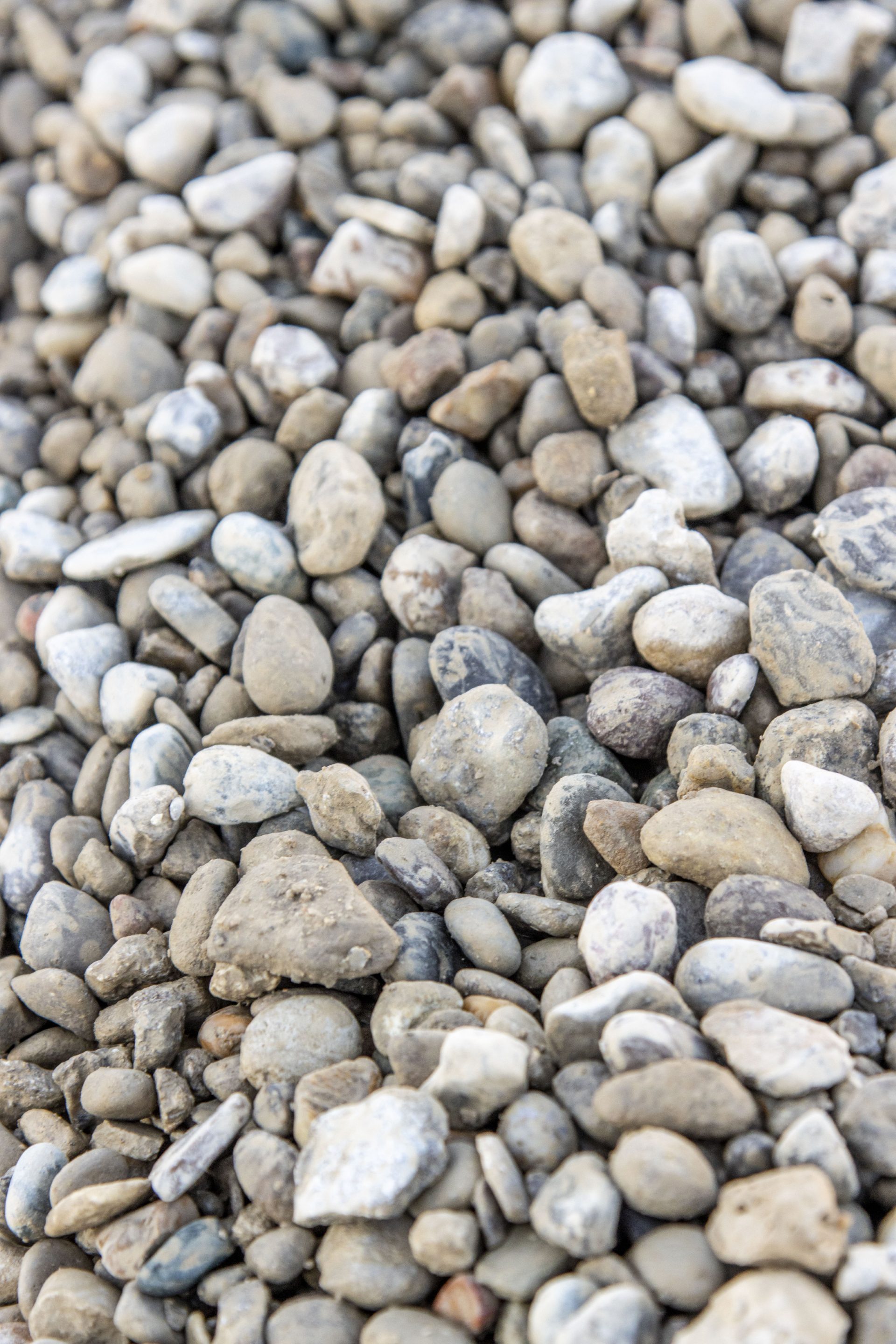 South Fork 1 2 in 22