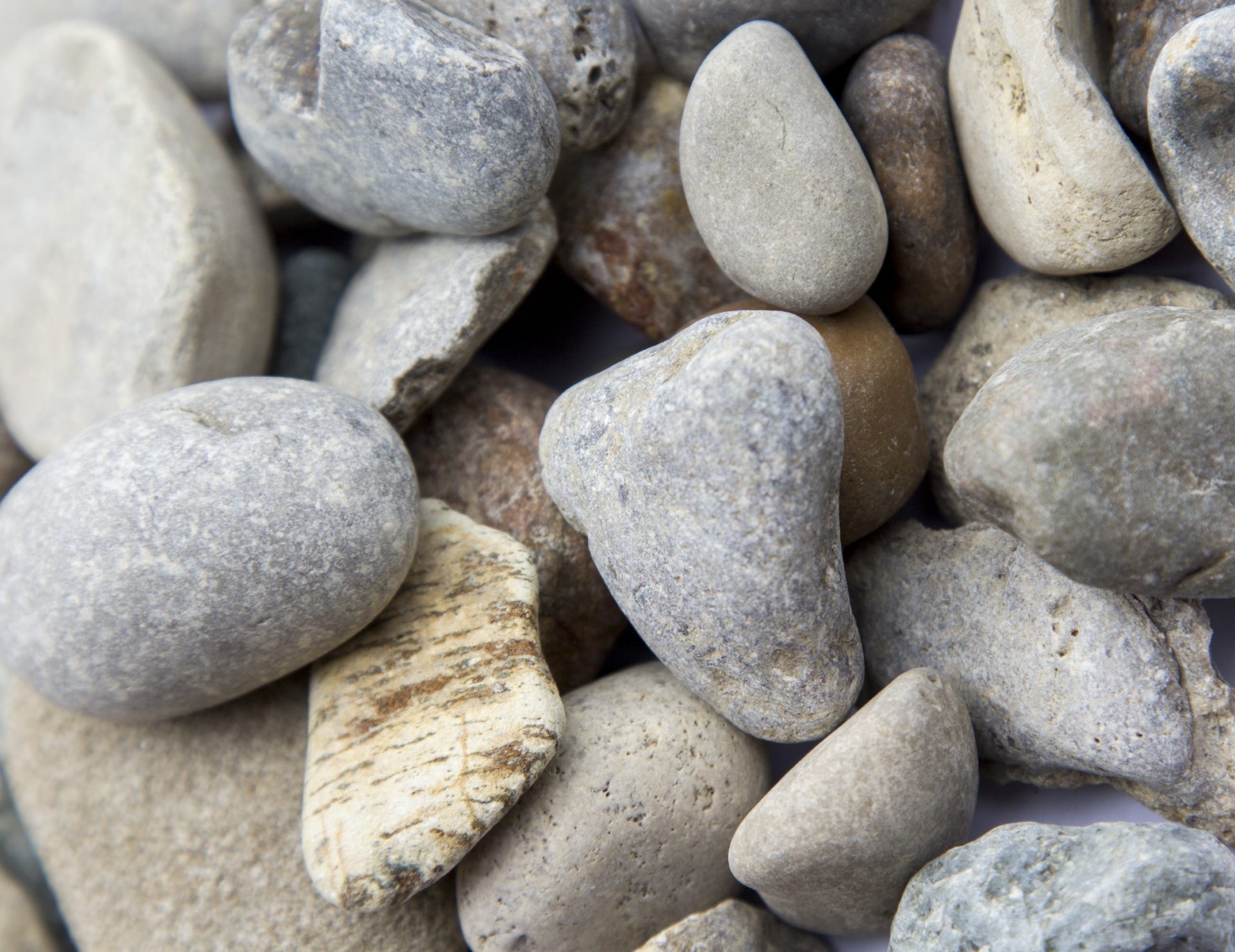 South Fork 1.5 in 14